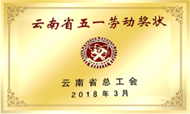 企业荣誉